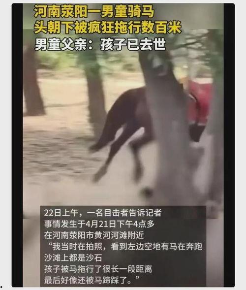 男子爆料景区视频播放,揭秘景区背后的真相